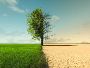 climate-change-from-drought-to-green-growth