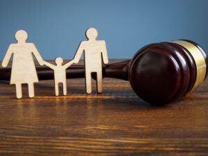 Navigating the Emotional Rollercoaster of Family Law